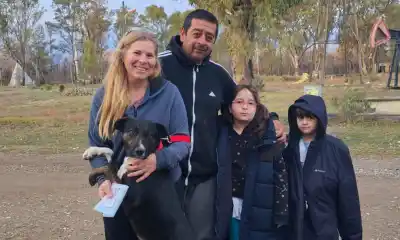 El refugio de Rawson que busca hogar para 30 perros rescatados: cómo adoptarlos