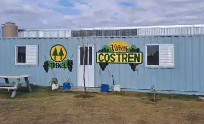 El vino pampeano que nace en Trenel: la Costren ya tiene sus primeros 1.100 litros en guarda
