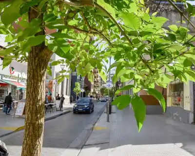 El clima en Tucumán: así arranca la semana según el SMN