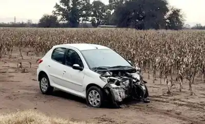 Un perro cruzó la ruta y el desenlace dejó daños materiales