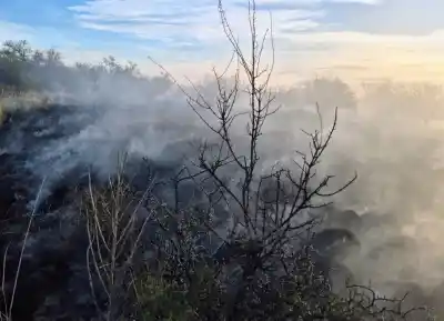 Tres incendios de pastizales en San Luis: el peligroso foco que estuvo cerca de las casas