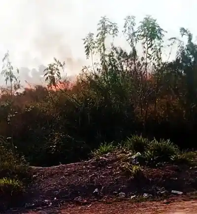 Alerta en La Banda: un incendio de pastizales puso en riesgo varias viviendas