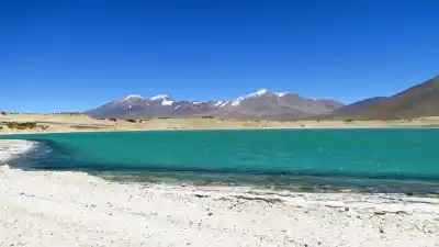 El dato que expone a Catamarca: dos departamentos ya superan el límite de tierras en manos extranjeras