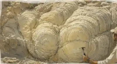 El misterio de las rocas vivientes que esconden los valles del norte argentino