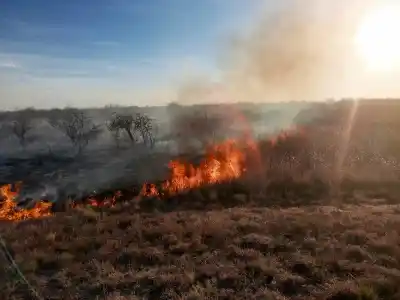 Un vehículo en llamas desató un incendio en la ruta 146: qué pasó