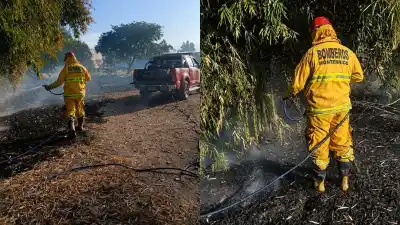 Un incendio en Monterrico puso en alerta a los bomberos: las llamas estuvieron a metros de una casa