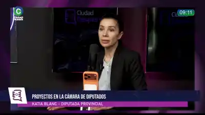 El plan de Katia Blanc si se caen las PASO: fondos directo al Hospital Pediátrico
