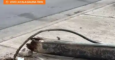 Se trepó a robar cables, el poste se vino abajo y terminó con graves fracturas