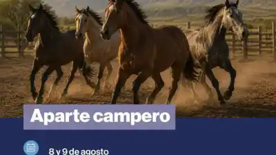 El Aparte Campero vuelve a El Rodeo: dos días a puro campo, tradición y destreza criolla