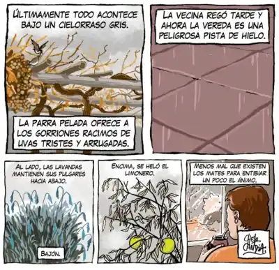 El capítulo 657 de Viajeros: la helada que sorprende a todos