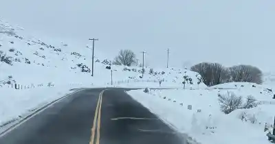 Nevadas en Malargüe: la Ruta 222 sigue abierta pero con cadenas obligatorias y viento blanco