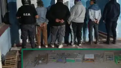 Secuestran 22 aves canoras en Belén y detienen a cuatro riojanos: ¿qué hacían con ellas?