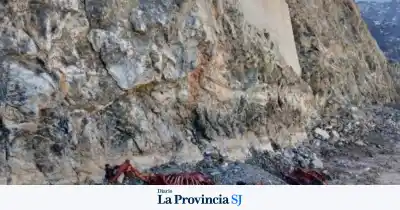 Impactante hallazgo en Iglesia: restos de tres caballos y un avestruz aparecieron abandonados