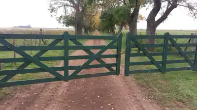 El mercado de campos se enfría, pero la ganadería enciende las alarmas: ¿qué está pasando?