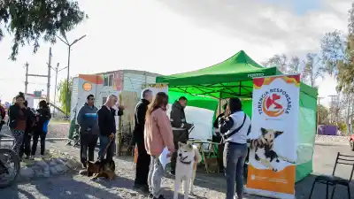 Caucete: un operativo gratuito para perros y gatos que no podés dejar pasar