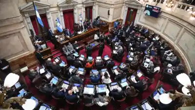 La Iglesia de la Patagonia sale al cruce del proyecto de Milei que vuelve al Senado