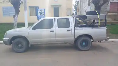 Cazaban liebres en plena vía pública y la Policía de Rucanelo los sorprendió con las manos en la masa