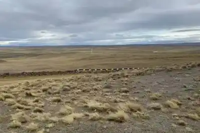 Rosario se moviliza contra la venta de tierras a extranjeros: ¿qué hay detrás del proyecto de ley?