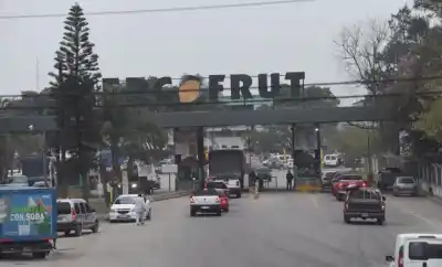 ¿Por qué la lechuga y la acelga se volvieron un lujo en Tucumán? La verdad detrás de la suba descontrolada