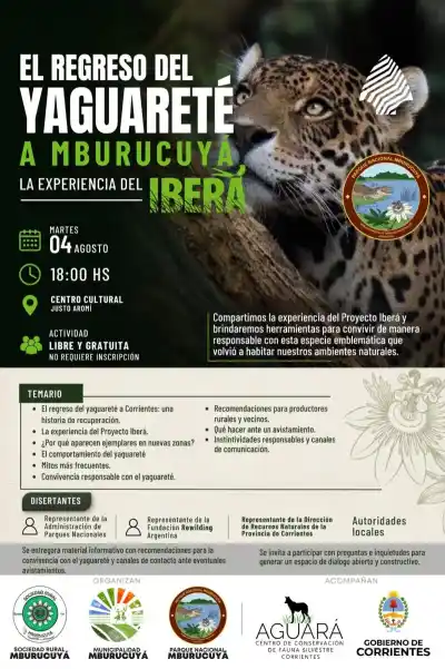 El regreso del yaguareté a Mburucuyá: qué se sabe y cómo prepararse para convivir con el felino