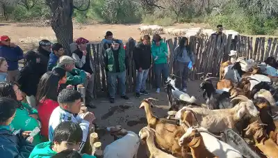 Añatuya se prepara para las Jornadas de Ganadería Caprina Agroecológica del NOA
