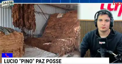 Denuncian que Salta pierde 5 millones de dólares por mes por la evasión en el tabaco