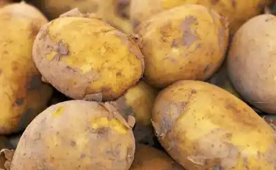 El precio de la papa estalló en Jujuy: cuánto cuesta hoy el kilo tras el nuevo aumento