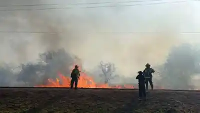 Alerta en Salta: 29 incidentes por el viento y el fuego durante el fin de semana