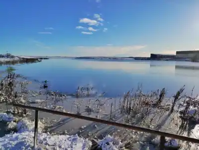 Alerta en Río Grande: la Laguna de los Patos quedó inhabilitada y piden no acercarse
