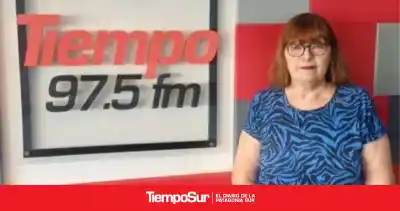 Un evento con artistas locales para salvar los insumos del Hospital Regional
