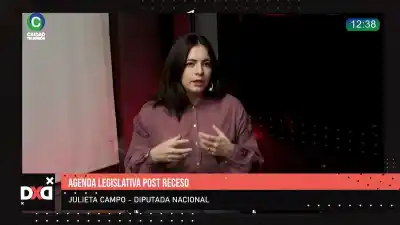 Alerta por la Ley de Tierras: ¿qué hay detrás del proyecto que preocupa a la diputada Campo?