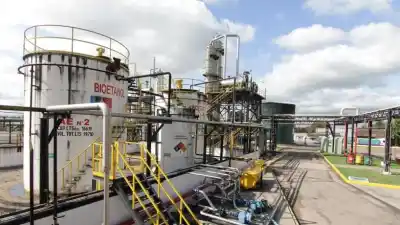 El precio del bioetanol sube: cuánto costará el litro en agosto