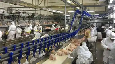 Granja Tres Arroyos frena su producción: los salarios siguen sin pagarse y el aguinaldo brilla por su ausencia