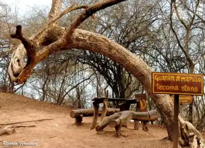 Alerta en Jujuy: el Parque Botánico pide extremar cuidados ante el riesgo de incendios