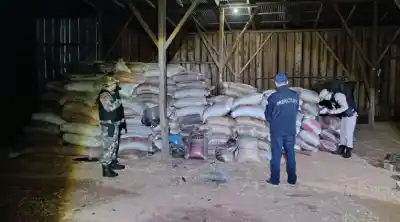 El cargamento que intentaron ocultar en El Soberbio: secuestraron 30 toneladas de soja