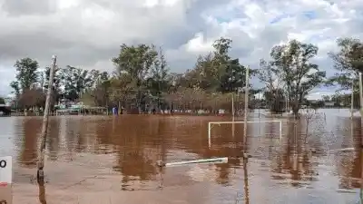 El río Uruguay alcanzó su pico máximo y comenzará a bajar antes del fin de semana