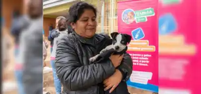 Semana clave para las mascotas de Posadas: el IMuSA recorre los barrios con servicios gratuitos