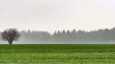 El campo respira: el pronóstico que ilusiona a los productores y qué zonas tendrán las lluvias más generosas