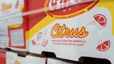 El salto exportador de una empresa del norte que desafía al podio nacional