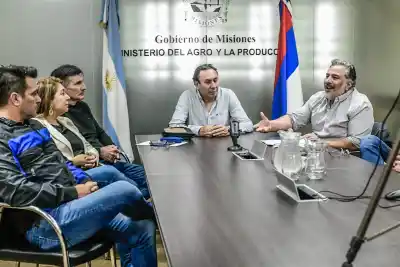 ¿Un piso para la hoja verde? La provincia avanza con un proyecto clave para los yerbateros