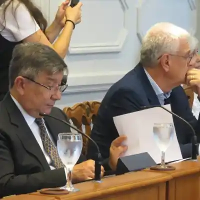 El plan del municipio para digitalizar los activos ambientales que ya tiene un respaldo clave