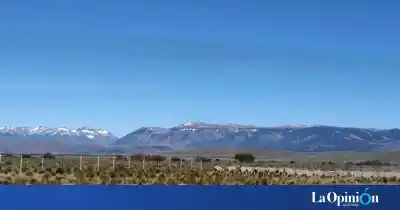 El dato que revela cuánta tierra de Santa Cruz está en manos extranjeras