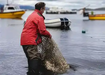 Pescadores denuncian que Newsan avanza y ellos quedan afuera: “Perdimos una zona de trabajo”