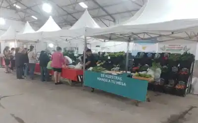 La crisis golpea a los feriantes de Goya: las ventas se desplomaron y nadie sabe cuándo se recuperarán