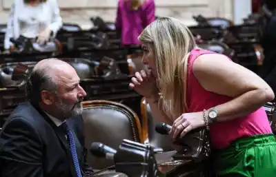 ¿Quién definirá la ley de tierras de Milei? El voto pampeano que mantiene en vilo al Senado