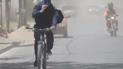 Viento patagónico: cuándo pegarán las ráfagas más fuertes en el Alto Valle y qué pasará con la nieve en la cordillera