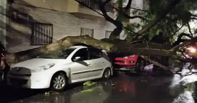 Ráfagas de más de 100 km/h en Rosario: árboles caídos, techos volados y un camión volcado