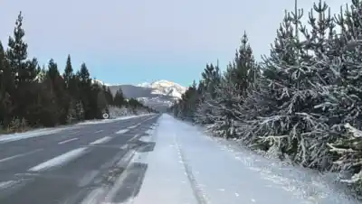 Nieve en la Patagonia: las rutas que exigen cadenas y los pasos a Chile con horarios restringidos