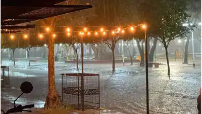 Cayeron 120 milímetros en dos horas y Florencia amaneció bajo agua: la angustiante noche que vivieron los vecinos