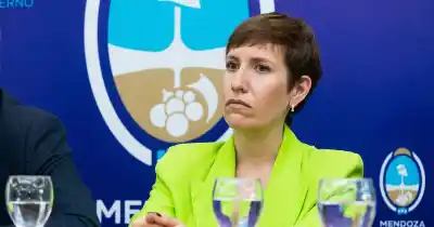 El plan energético de Mendoza que podría cambiar el mapa hidroeléctrico del sur provincial
